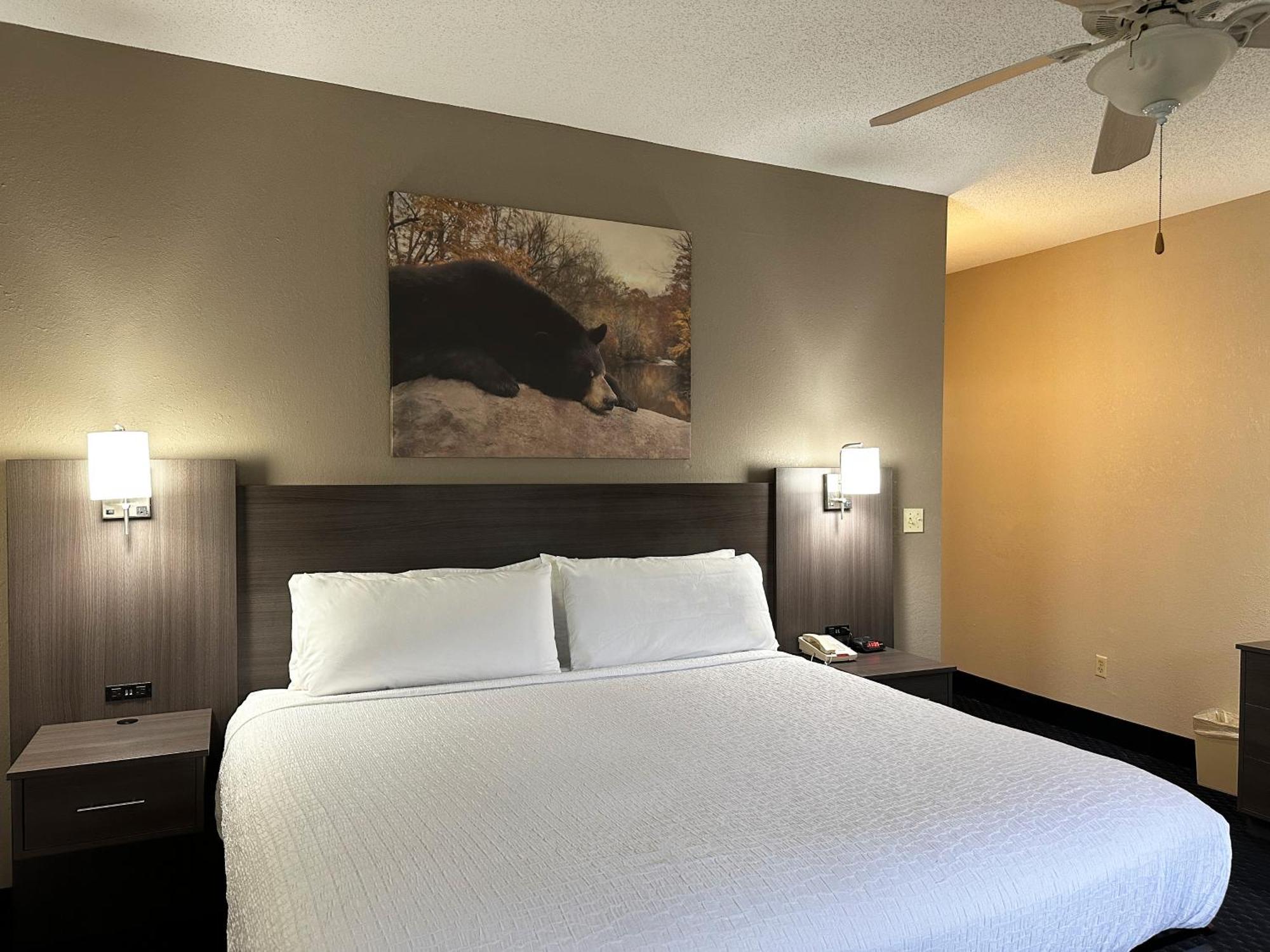 Sidney James Mountain Lodge Gatlinburg Εξωτερικό φωτογραφία